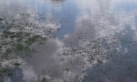 Shiyanga ya nyanyudha aalimimapya mOnooli