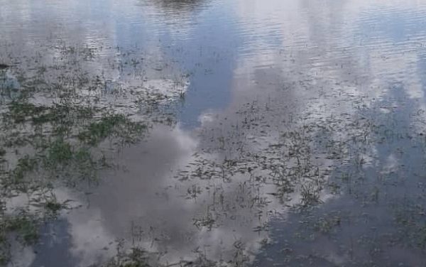 Shiyanga ya nyanyudha aalimimapya mOnooli
