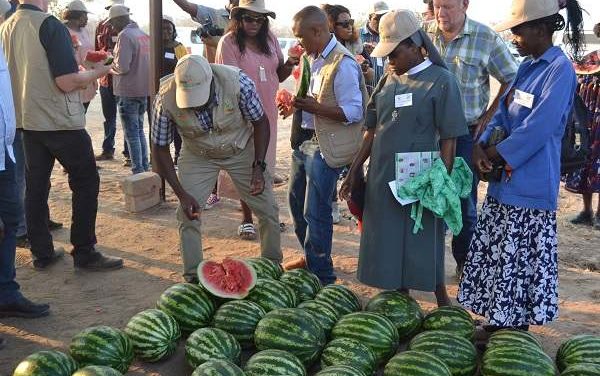 Amta ta ti epangelo otali ka landa iikulya yomoshilongo