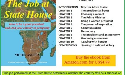 Job at State House ebook
