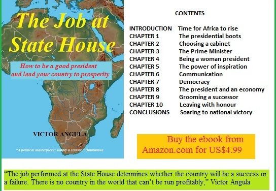 Job at State House ebook