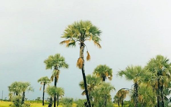 Beauty of nature