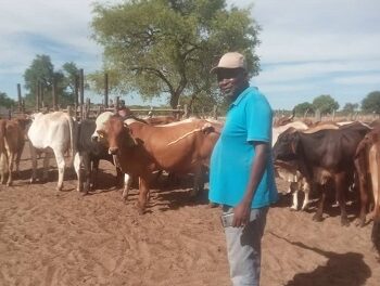 Man quits insurance job to go farming