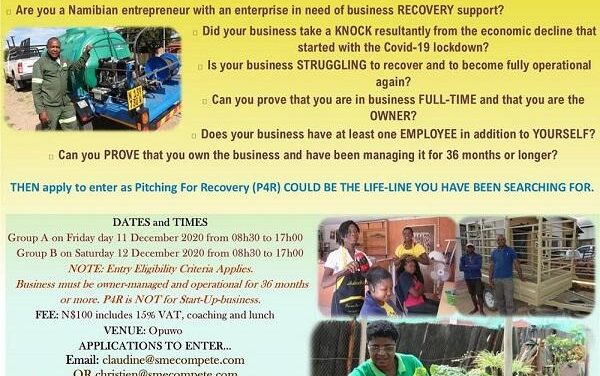 Business Pitching for Recovery in Opuwo