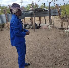 Youth urges agricultural graduates to venture into fulltime farming