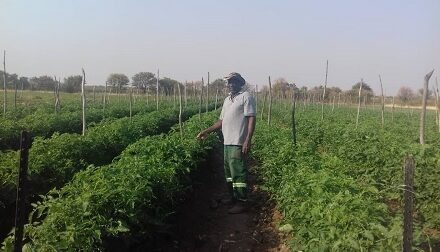 Tales from a street vendor to an award winning farmer