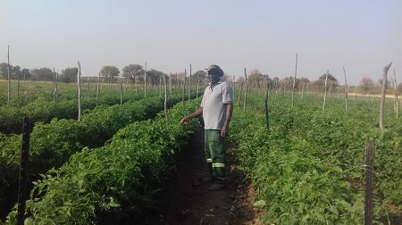 Tales from a street vendor to an award winning farmer
