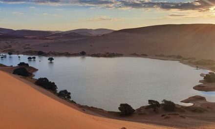 Magnificently wonderful Namibia