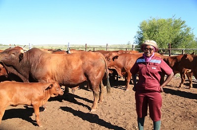 Passionate young farmer ploughs her way to success