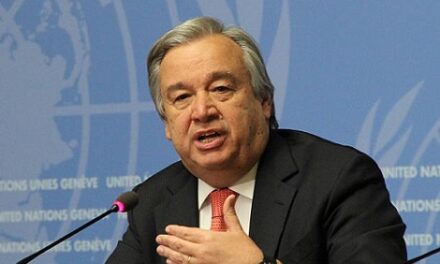 UN chief calls for solidarity on Africa Day