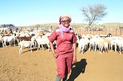 Meat farmers urged to understand benefits of crossbreeding