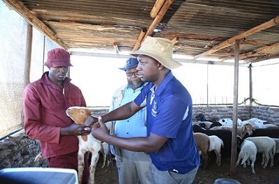 An overview of Namibia’s food self-sufficiency