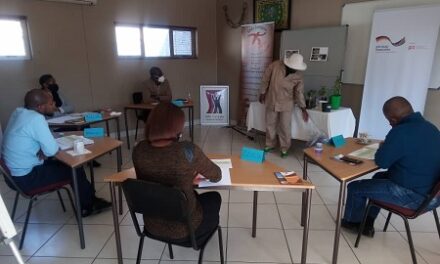 20 Khomas entrepreneurs pitch for resilience grants
