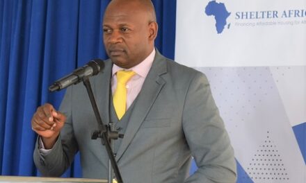 Shelter Afrique fully repays commercial debts, eyes regional bonds