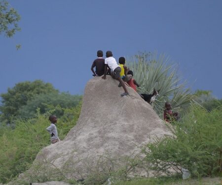 Termite hill playground