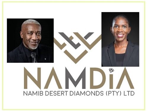 NAMDIA digs in heels on information blackout over CEO’s exit
