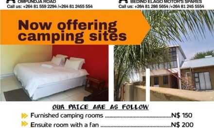 Oshana Guest House, luxury at its best!