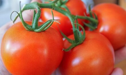 Smart people grow tomatoes