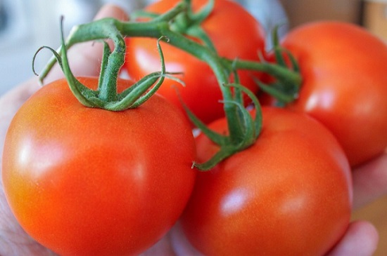 Smart people grow tomatoes