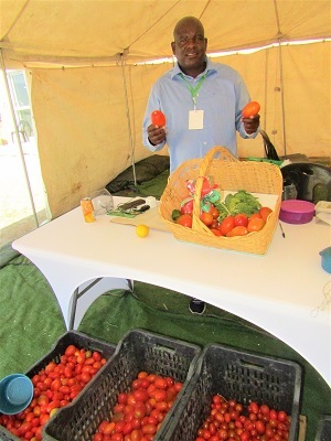 Okashakati farming tomatoes