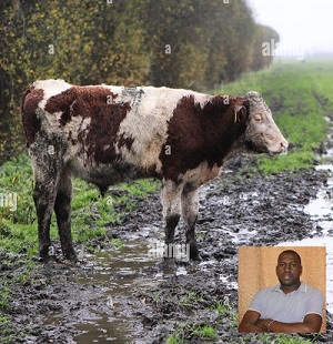 Good rainy season can be a bad experience for a farmer