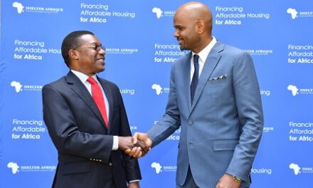 Hann assumes office as CEO of Shelter Afrique