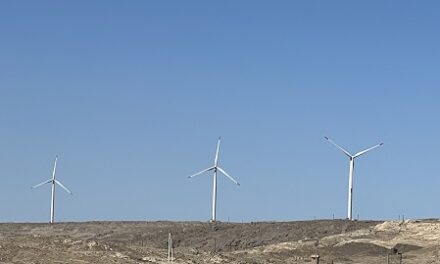 Development Bank of Namibia launches inaugural Sustainable Finance Framework