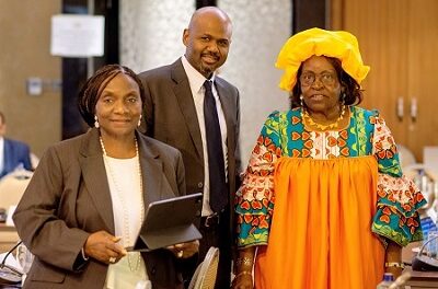 Housing financier Shelter Afrique to hold its 42nd AGM in Nigeria