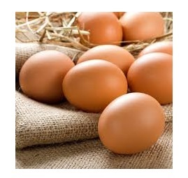 There is money in eggs