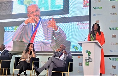 Shelter Afrique roots for climate-resilient affordable housing at the Africa Climate Summit