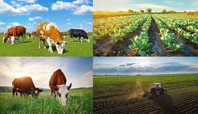 Integrated Farming System (IFS) is key to sustainable agriculture