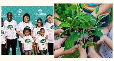 Old Mutual Foundation’s Little Green Ambassadors Initiative announces winning schools