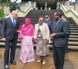 Nigeria’s Housing Minister chairs first session of 2024 UN-Habitat Board