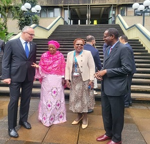 Nigeria’s Housing Minister chairs first session of 2024 UN-Habitat Board