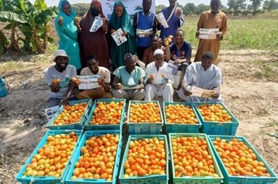 DELIVER Nigeria to boost smallholder farmers’ livelihoods and improve diets in Nigeria