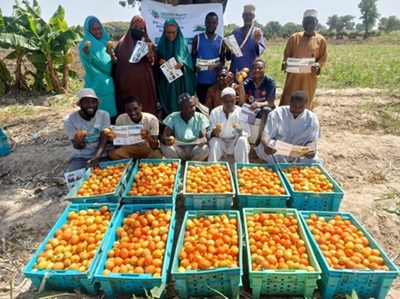 DELIVER Nigeria to boost smallholder farmers’ livelihoods and improve diets in Nigeria
