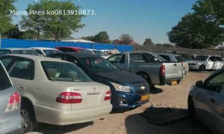 Tulinginho Garage oye dhingi