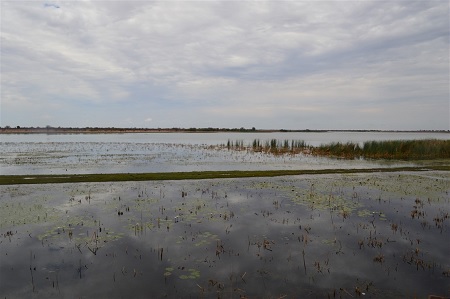 Olushandja dam more than half full