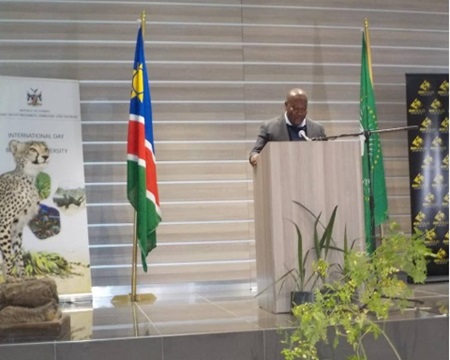 Human activities drive loss of biodiversity, says environment minister