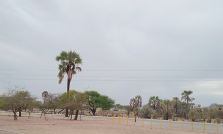 Onooli ya mono omuloka omwaanawa oshiwike shika