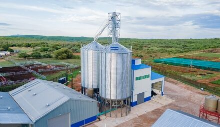 Hangala Foods champions the evolution of Namibia’s food sovereignty