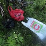 MTC invests money into “Windhoek go green” campaign