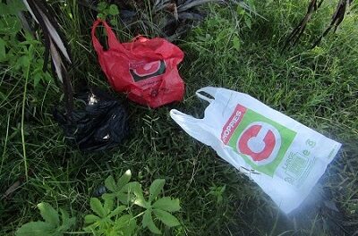 MTC invests money into “Windhoek go green” campaign