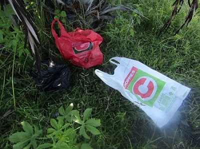 MTC invests money into “Windhoek go green” campaign