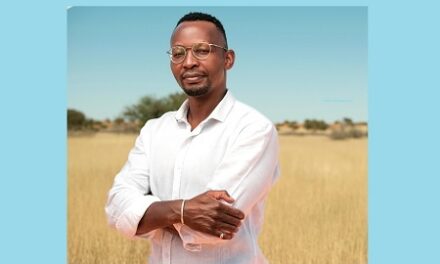 The Rule of Law Must Apply Equally in Namibia’s E-Hailing Industry