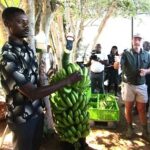 Etunda lya longo omabanana