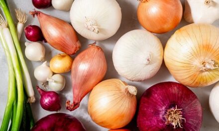 Crop expert explains the basics of onion production