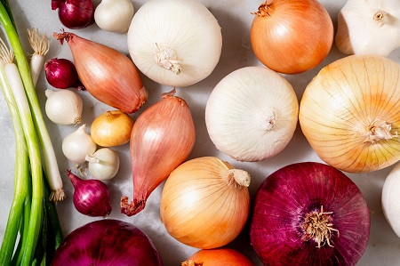 Crop expert explains the basics of onion production