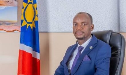 Helao Nafidi mayor to probe goods confiscation claims