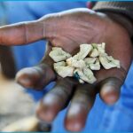 New drug ‘osuuka’ destroying Ohangwena, as youth mix ARV’s with marijuana